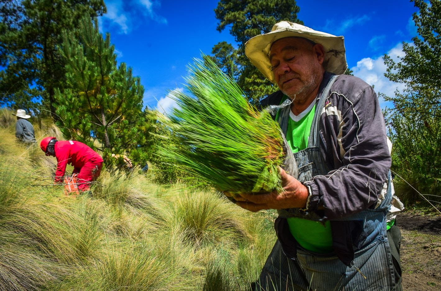 La Secretaría del Campo promueve la inscripción en los programas de Probosque