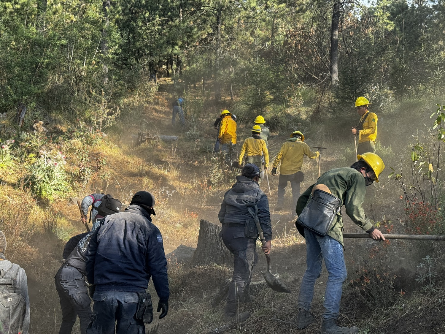 Gobierno de Delfina Gómez sofoca incendios forestales; despliega helicópteros, drones y brigadas