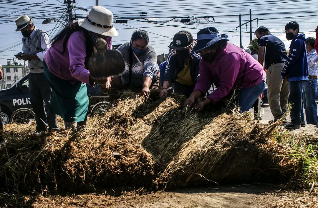 La profundidad de la violencia en la zona indígena de Toluca